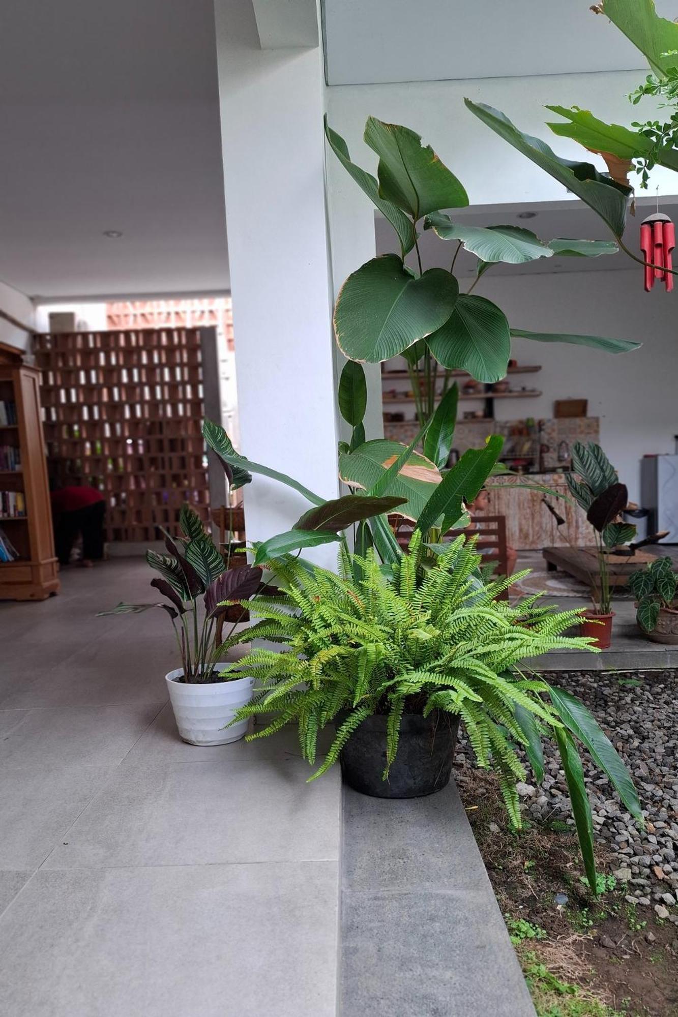 Bring In House Yogyakarta Appartement Buitenkant foto